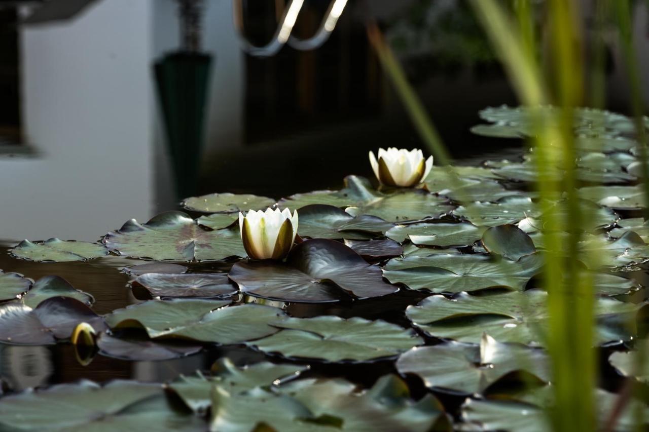 Flora - Das Kleine Gartenhotel Ellmau Eksteriør billede