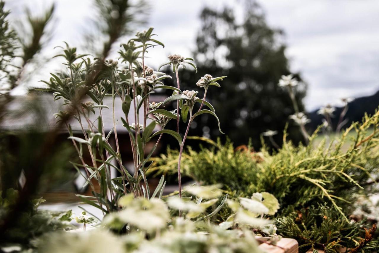 Flora - Das Kleine Gartenhotel Ellmau Eksteriør billede